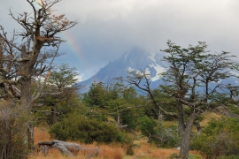 Torres del Paine - Patagonien