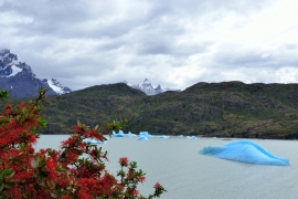 Torres del Paine - Lago Grey