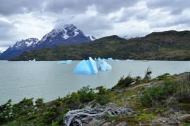 Torres del Paine - Lago Grey