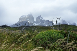 Torres del Paine - Patagonien