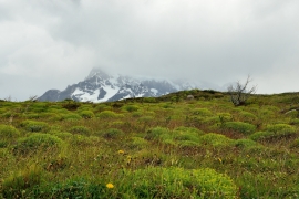 Torres del Paine - Patagonien