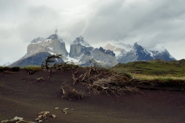 Torres del Paine - Patagonien