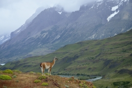 Torres del Paine - Patagonien