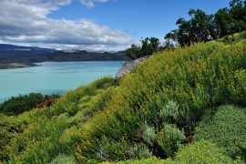 Torres del Paine - Patagonien